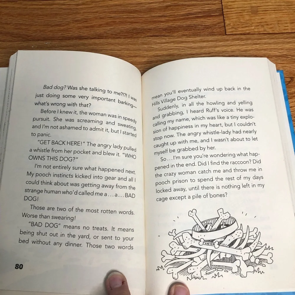 Book bundle two books Bad Kitty and Dog Diaries - Picture 6 of 10